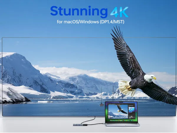 Stunning 4K@60 Hz for MacOS/Windows（DP1.4/MST）