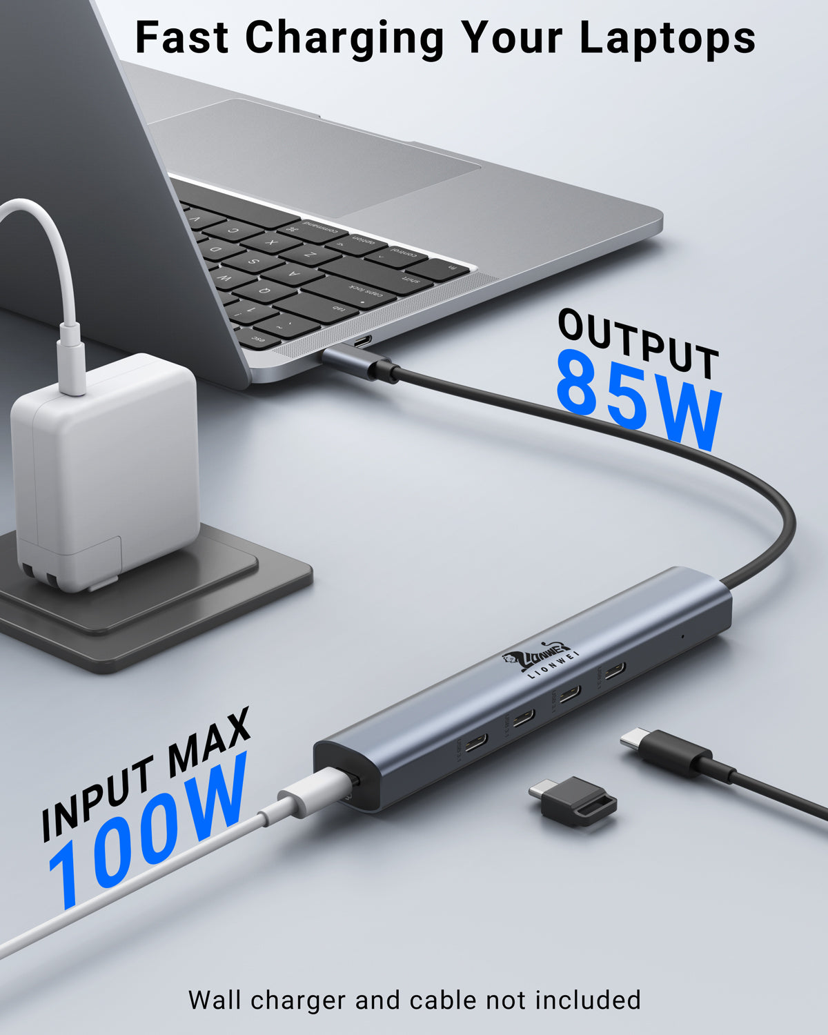 Lionwei 10Gbps USB C Hub with 100W Power Delivery