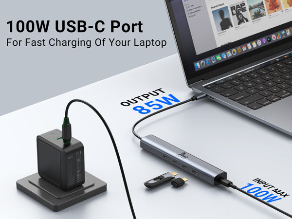 Lionwei 10Gbps USB C Hub with 100W Power Delivery