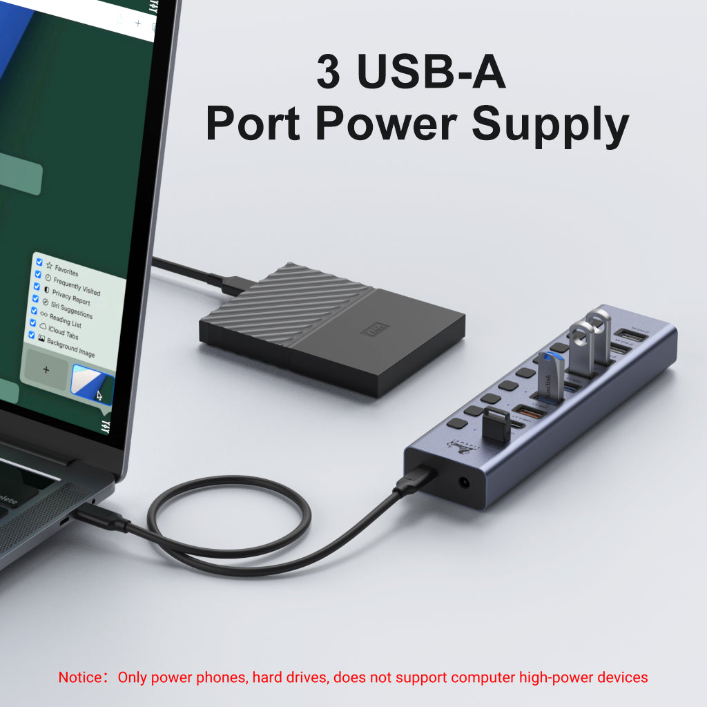 Lionwei Powered USB 3.1 Hub 10-IN-1